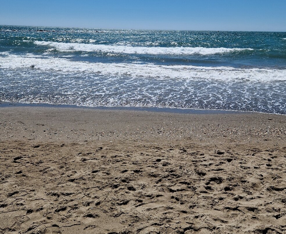 Praia dos Salgados景点图片