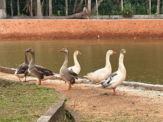 Spazio di Garda主图