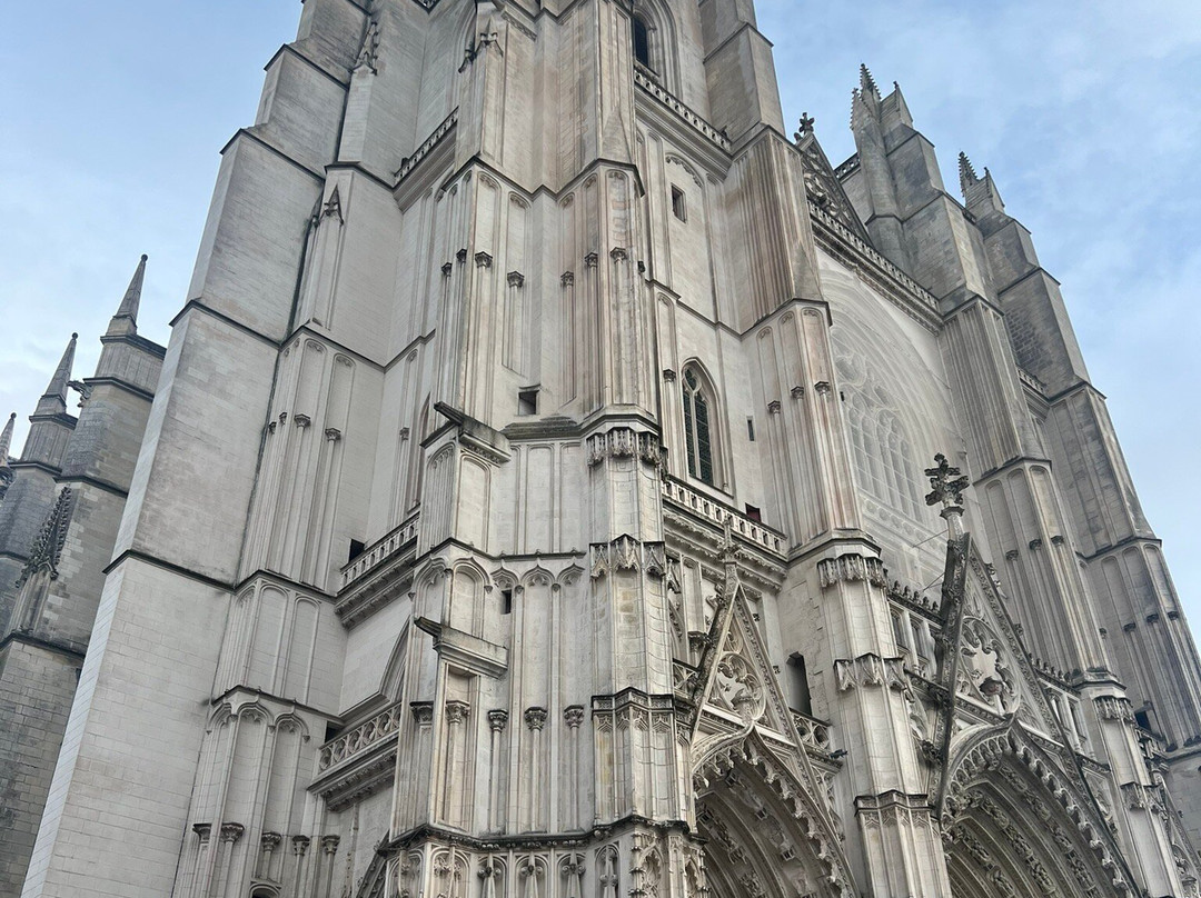 Basilique Saint Nicolas景点图片