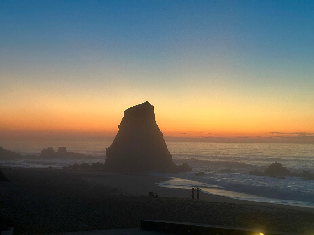 Atlantic Coast Surf School景点图片