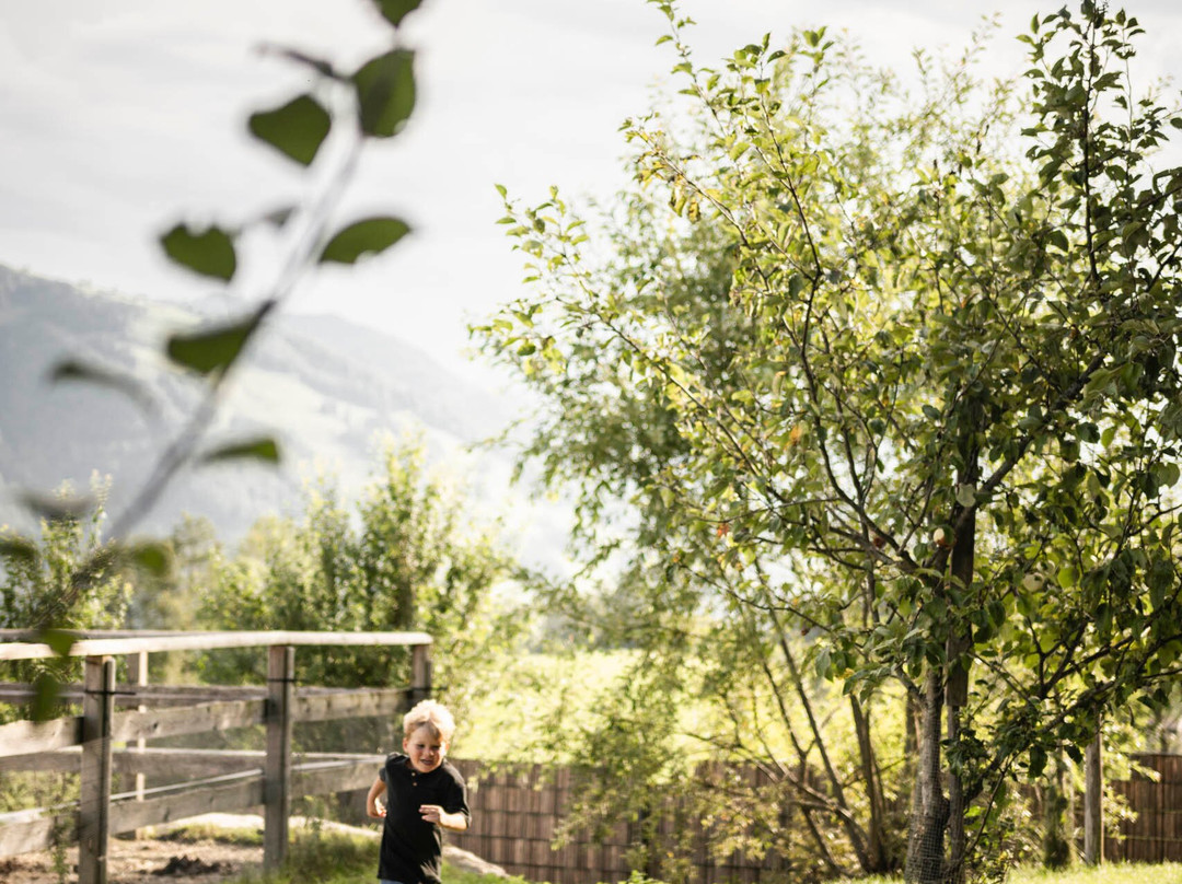 Peternhof Wohlfuhlresort主图