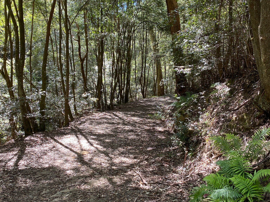 Sun Valley Fire Trail