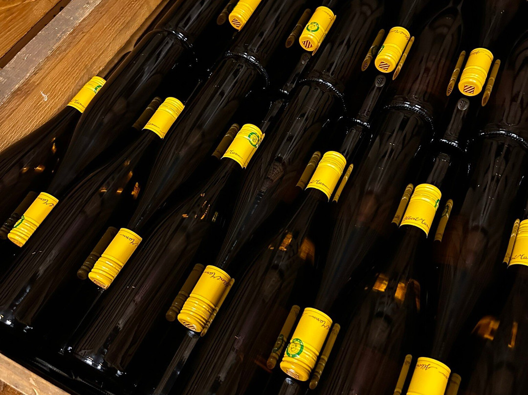 Domaine Albert Mann景点图片