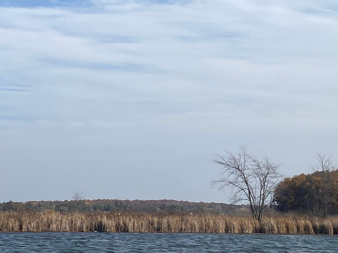 Lake James Tour Co.景点图片