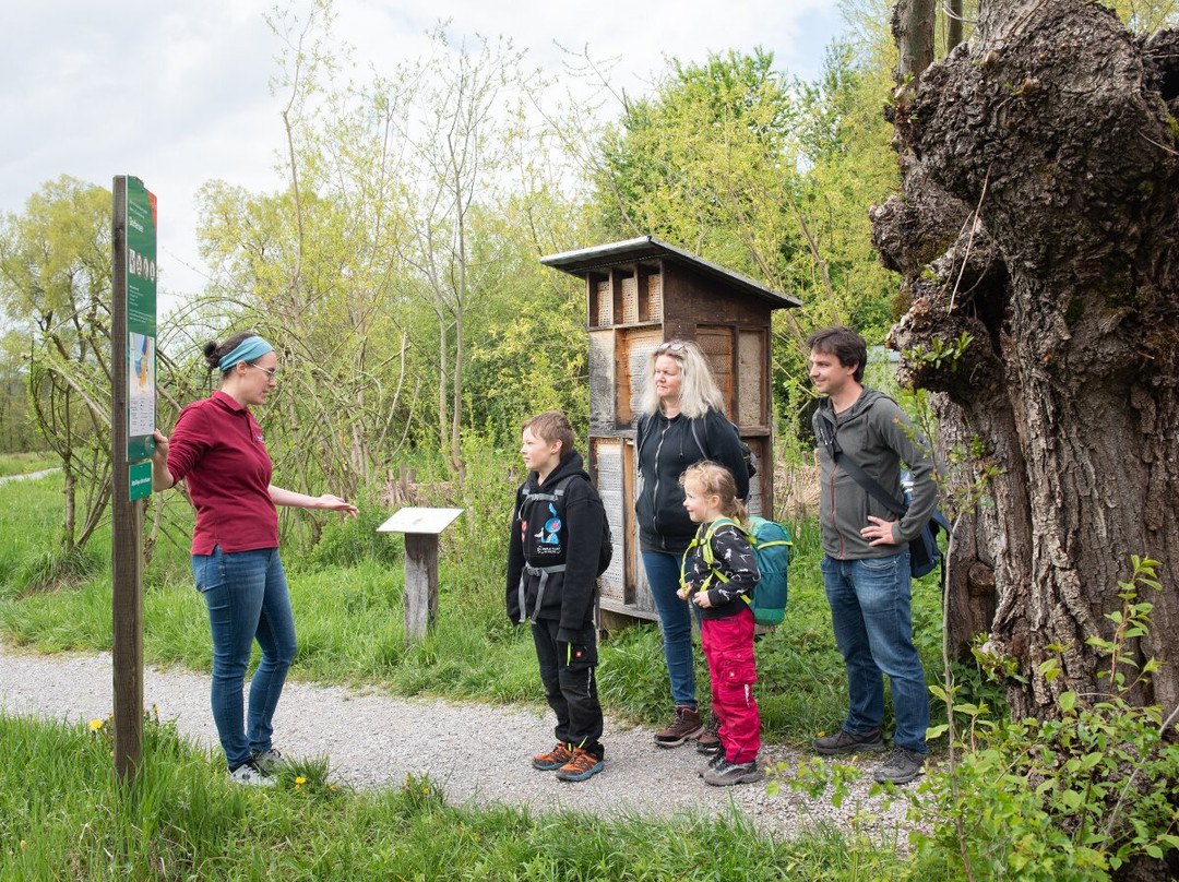Naturstation Silberweide am Greifensee-Moenchaltdorf必去景点