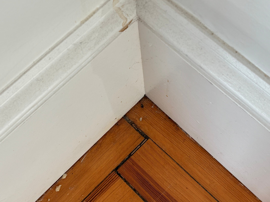 The Shore House主图