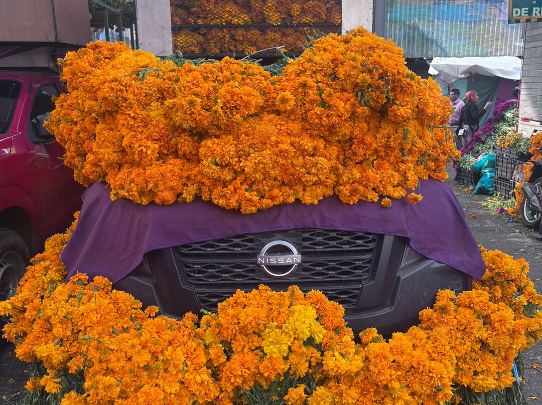 Mercado de Jamaica-墨西哥城必去景点