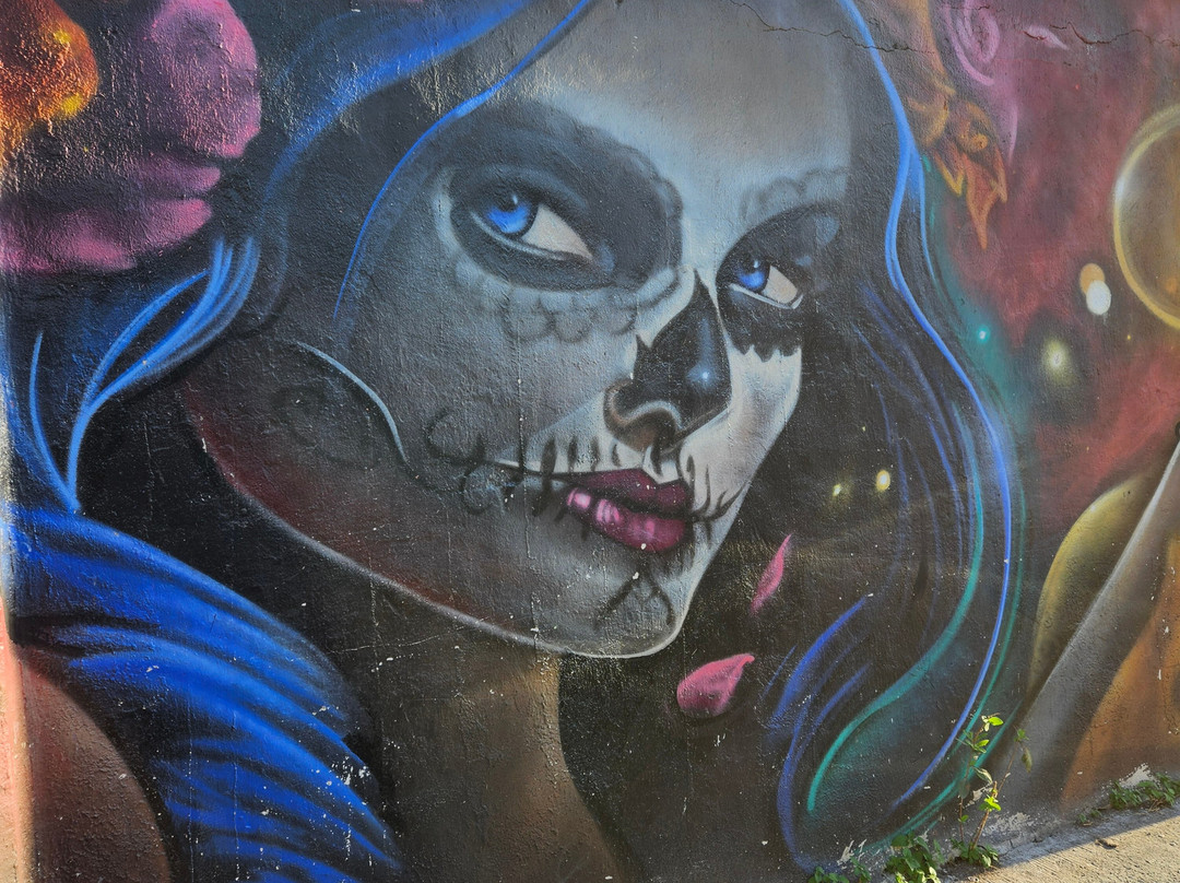 Puerto Vallarta Walking Adventures & Tours-瓦拉塔港必去景点