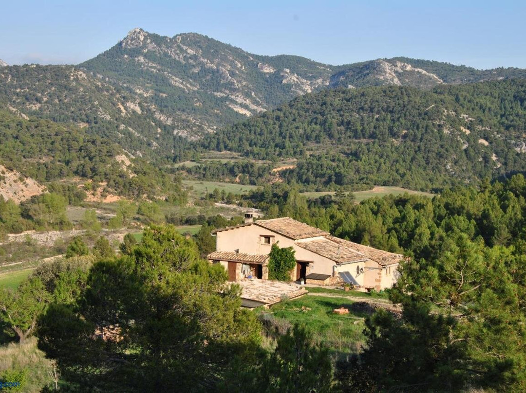 B&B Casa Rural Mas de las Tapias