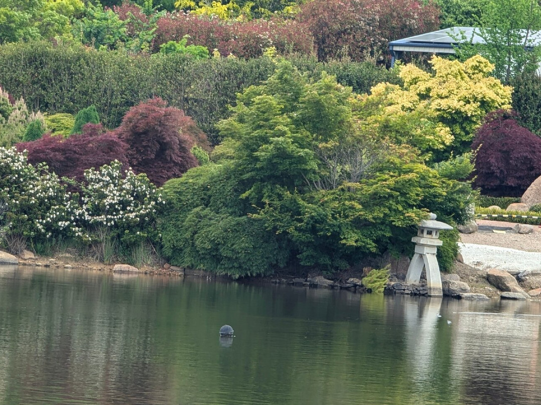 Gory'u Japanese Gardens-Little Hartley必去景点