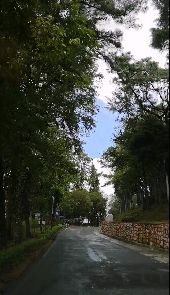 Sweet Falls景点图片