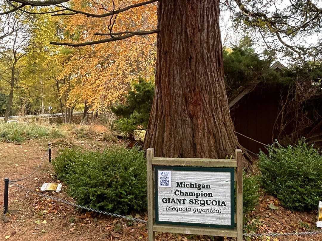 Lake Bluff Bird Sanctuary-Manistee必去景点