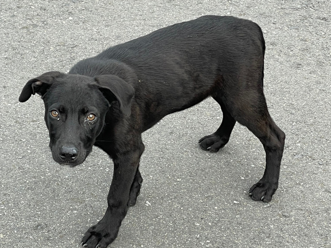 Parador El Buen Cafe主图