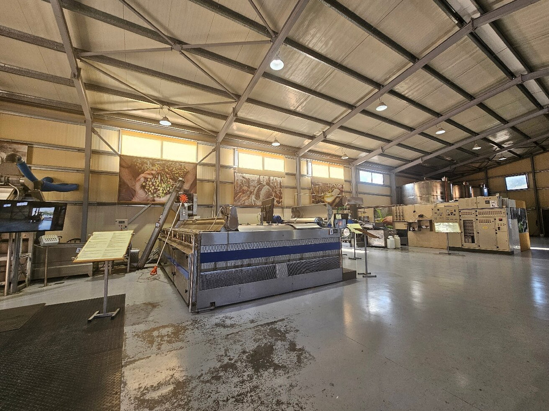 Omalia Olive Press-马利亚必去景点