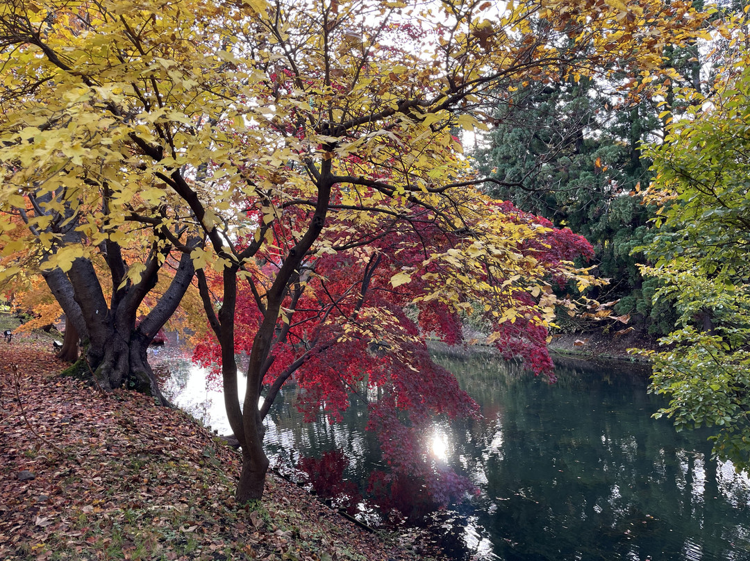 Hirosaki Castle Botanical Garden-弘前市必去景点