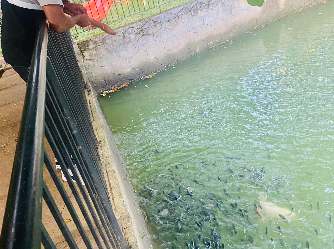 Sterling Wayanad主图