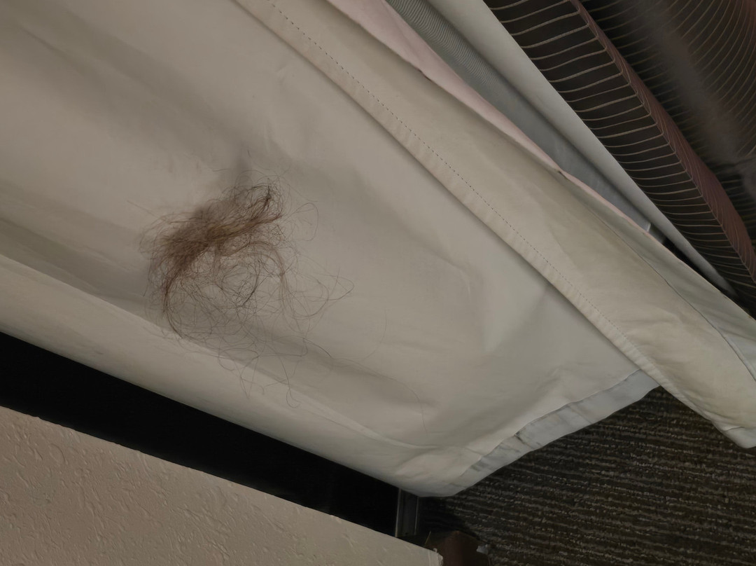 Radisson Hotel Cincinnati Riverfront主图