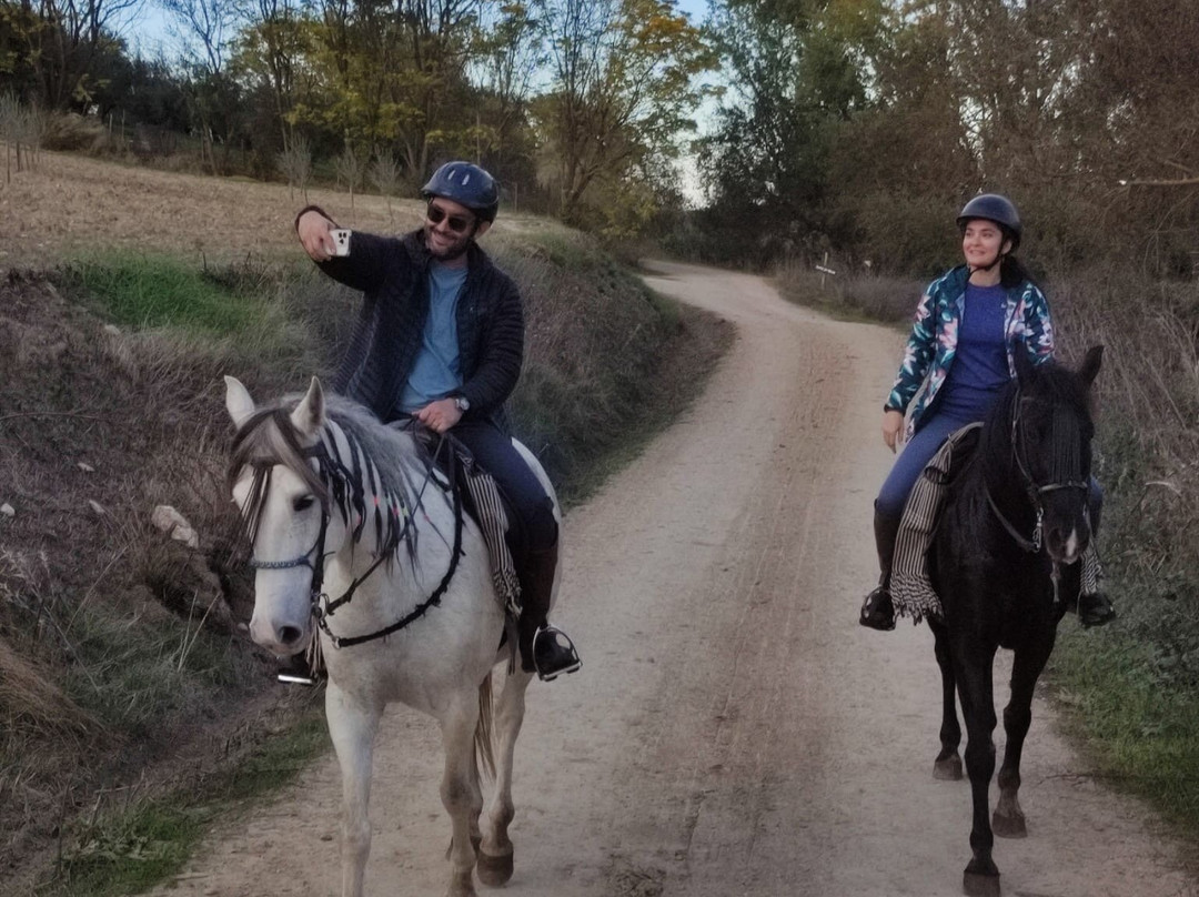 Caballos y Vino景点图片