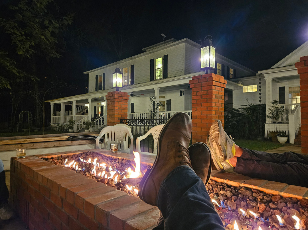 The Bird & Butterfly Inn主图