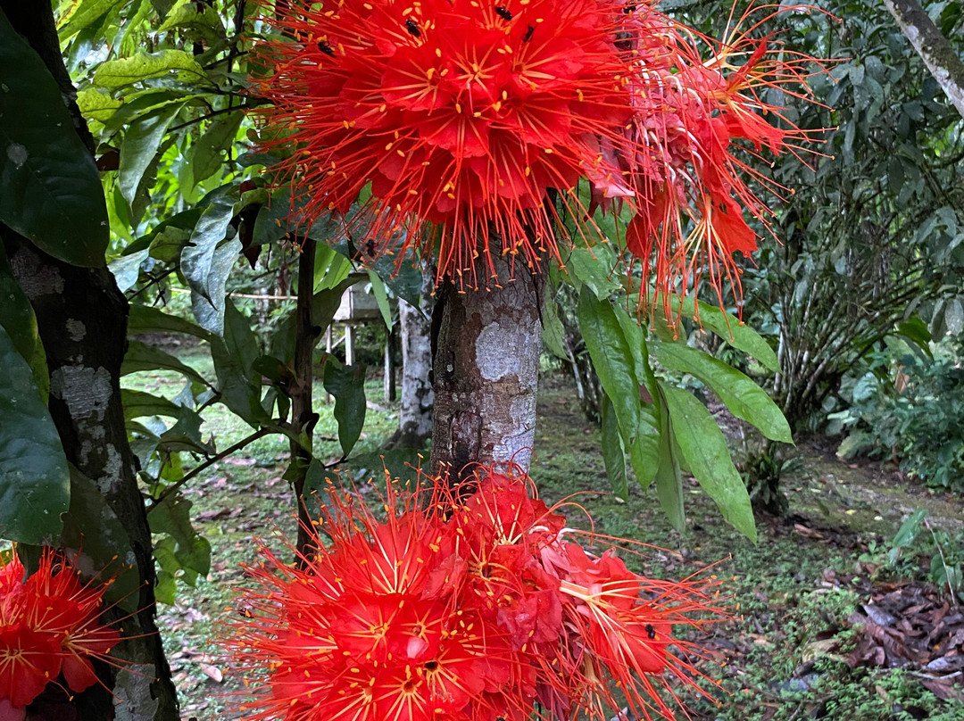 Oro y Luna Lodge主图