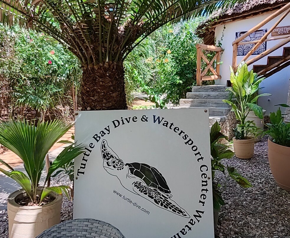 Turtle Dive- and Watersport Center-瓦塔木必去景点