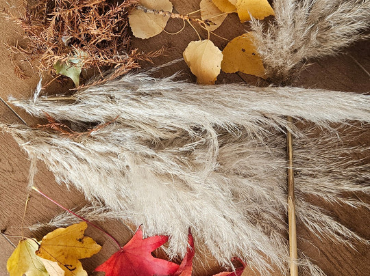 Oasi Naturalistica-Tortoreto必去景点