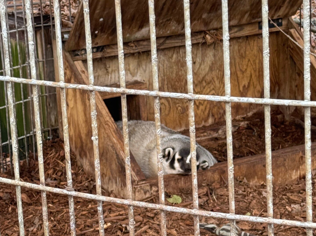 Shalom Wildlife Zoo景点图片