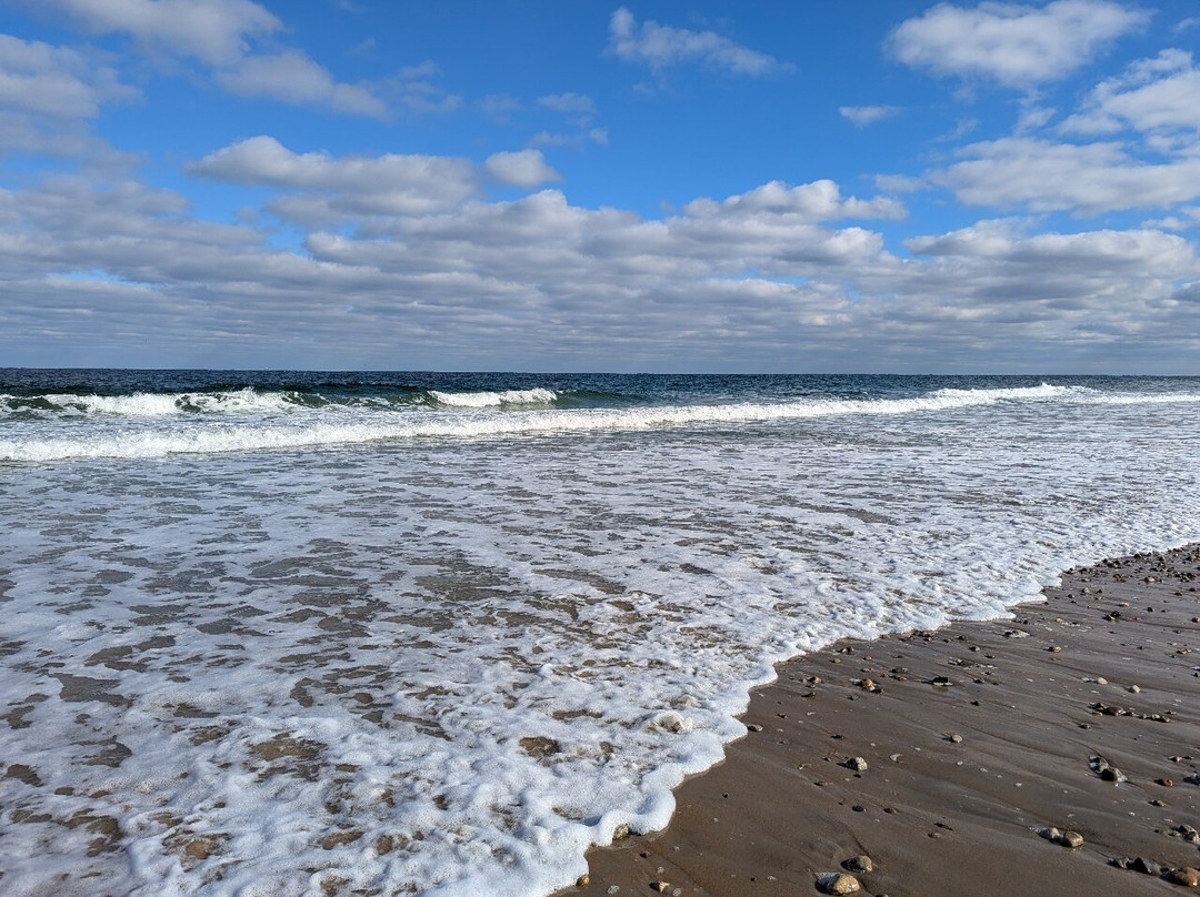 Duxbury Beach Park景点图片