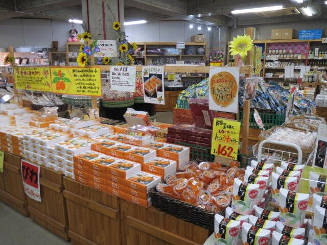 Michi-no-Eki Tomiura Biwa Club-南房总市必去景点