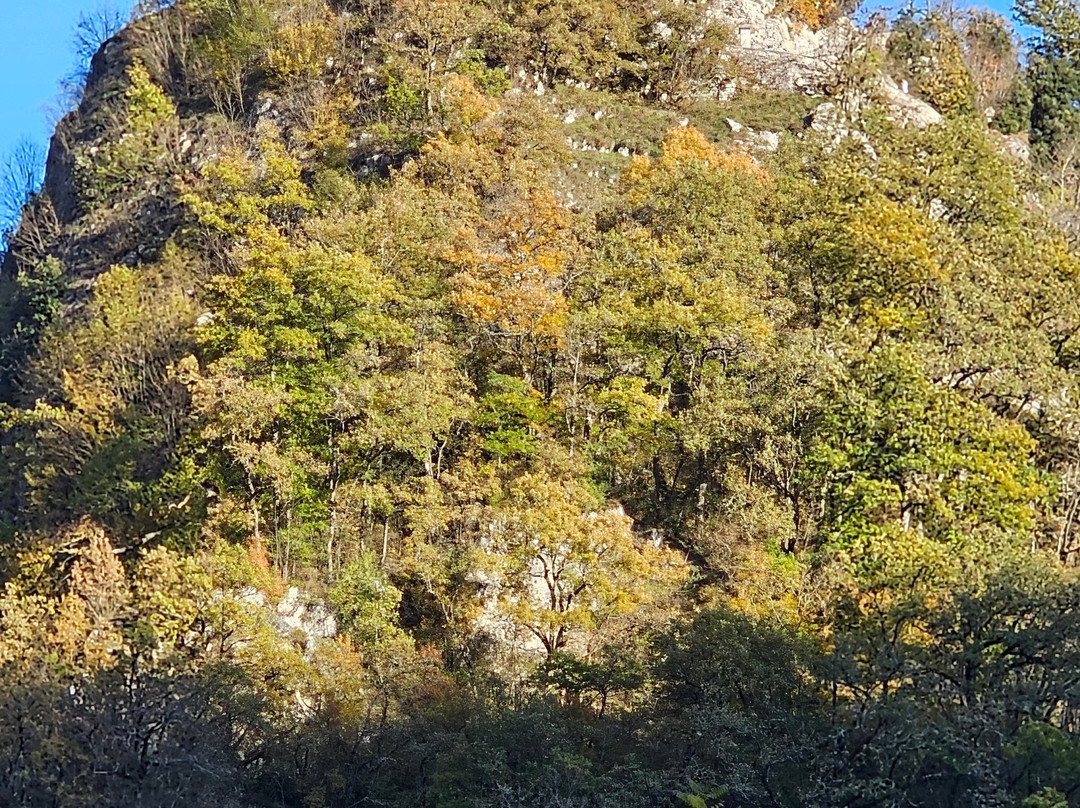 Monastero di Santa Rita da Cascia景点图片