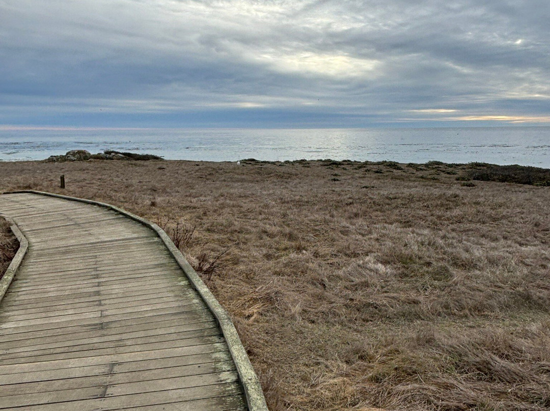 雅黛科乐比精品酒店及水疗中心主图