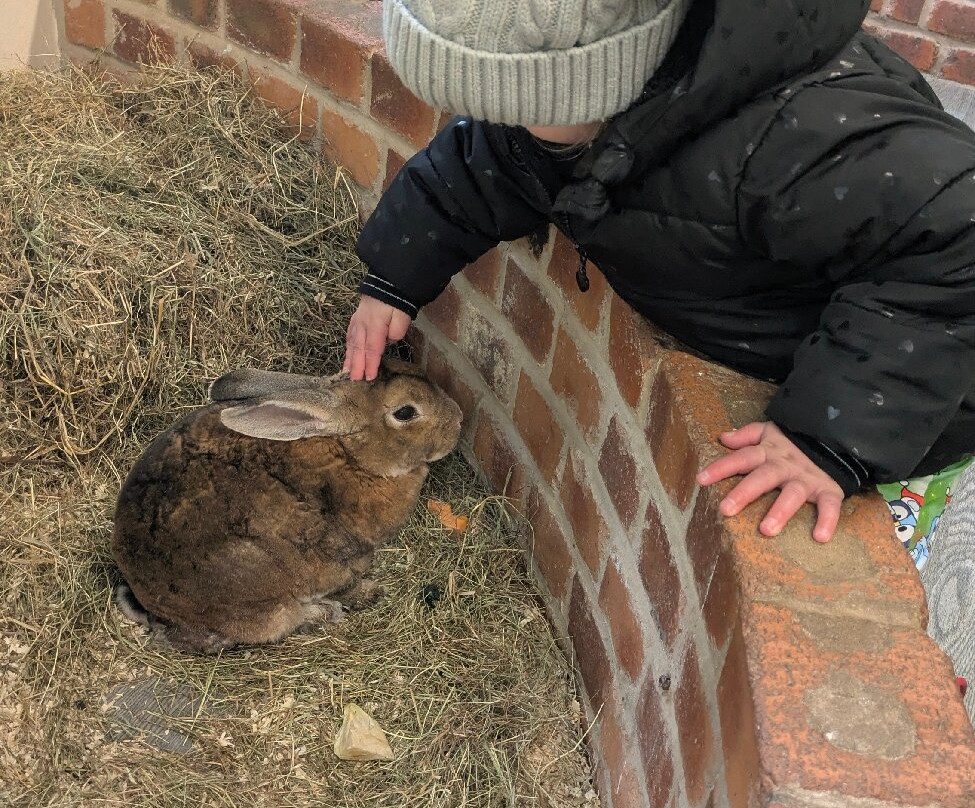 热带蝴蝶馆，野生动物和狩猎中心-谢菲尔德必去景点