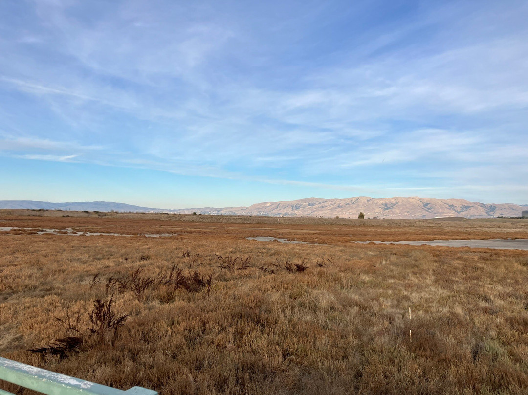 Baylands Park-森尼韦尔必去景点