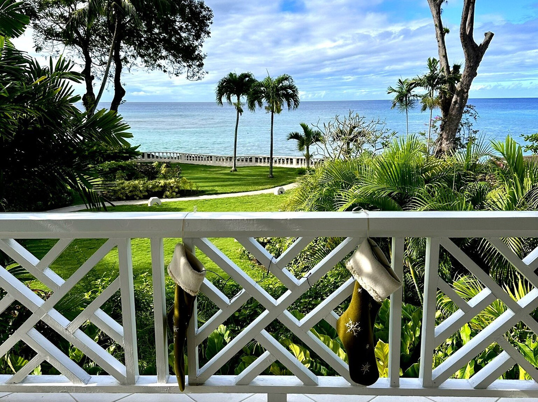 Coral Reef Club主图