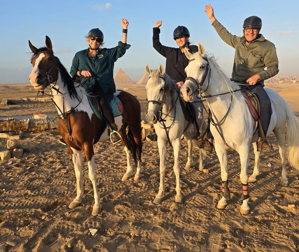 Fb Stables-吉萨必去景点