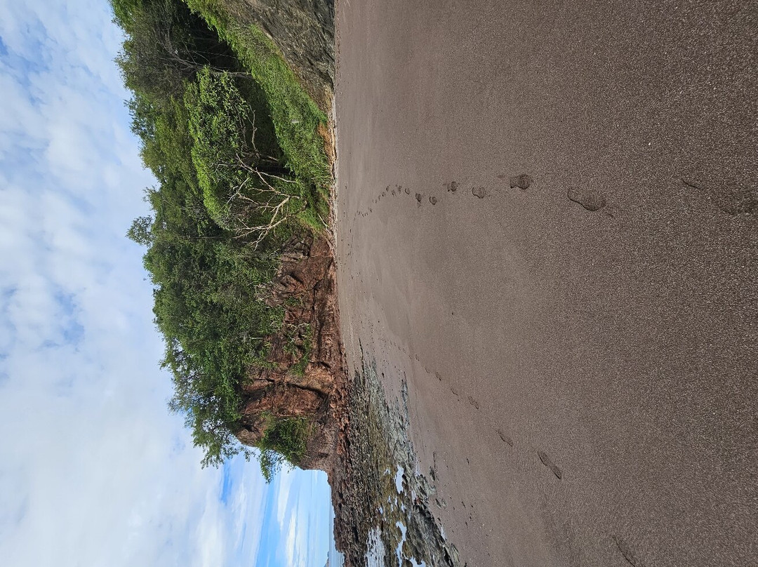 Playa Flamingo景点图片