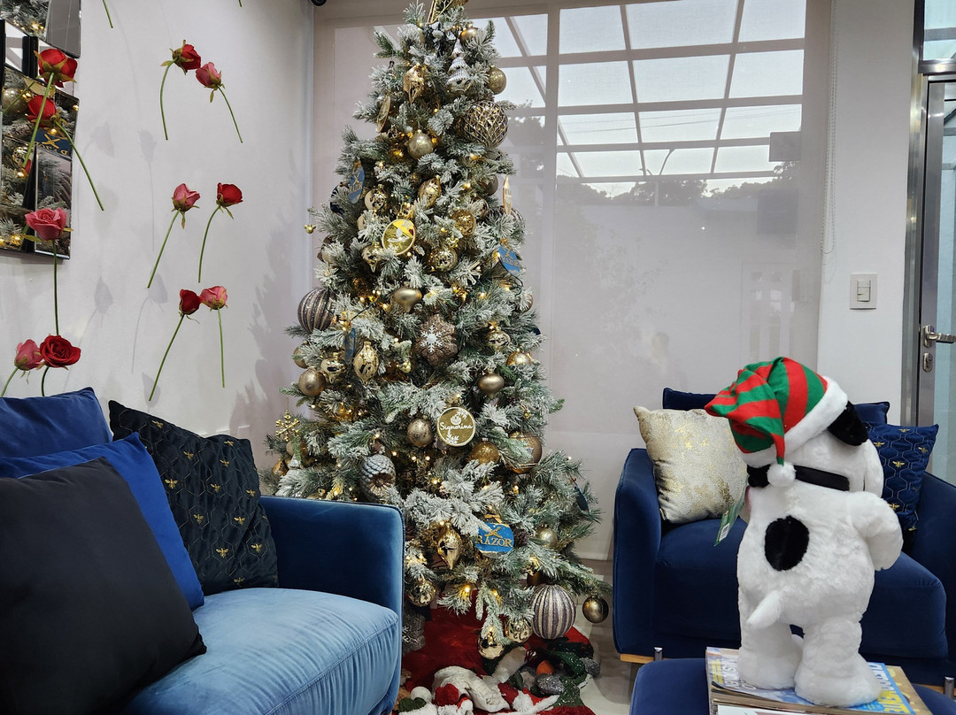 Beauty Center Spa-卡门城必去景点