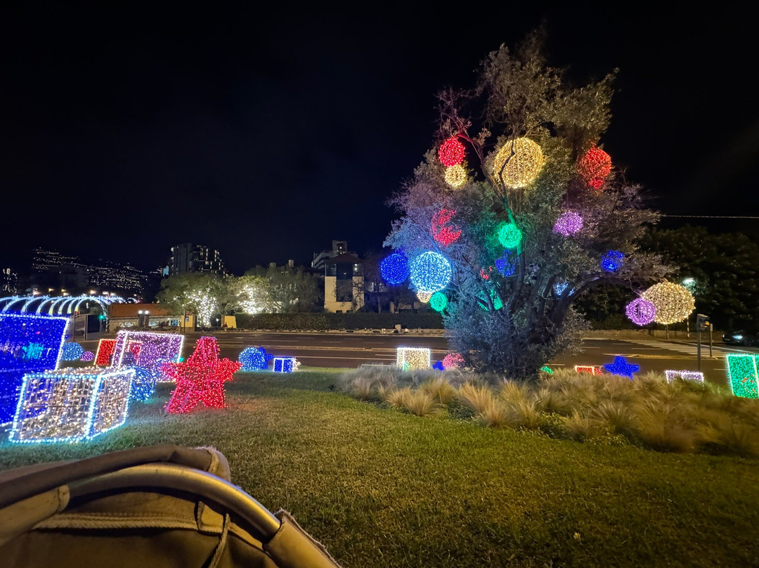 Tuk Madeira City Tours-沙尔必去景点