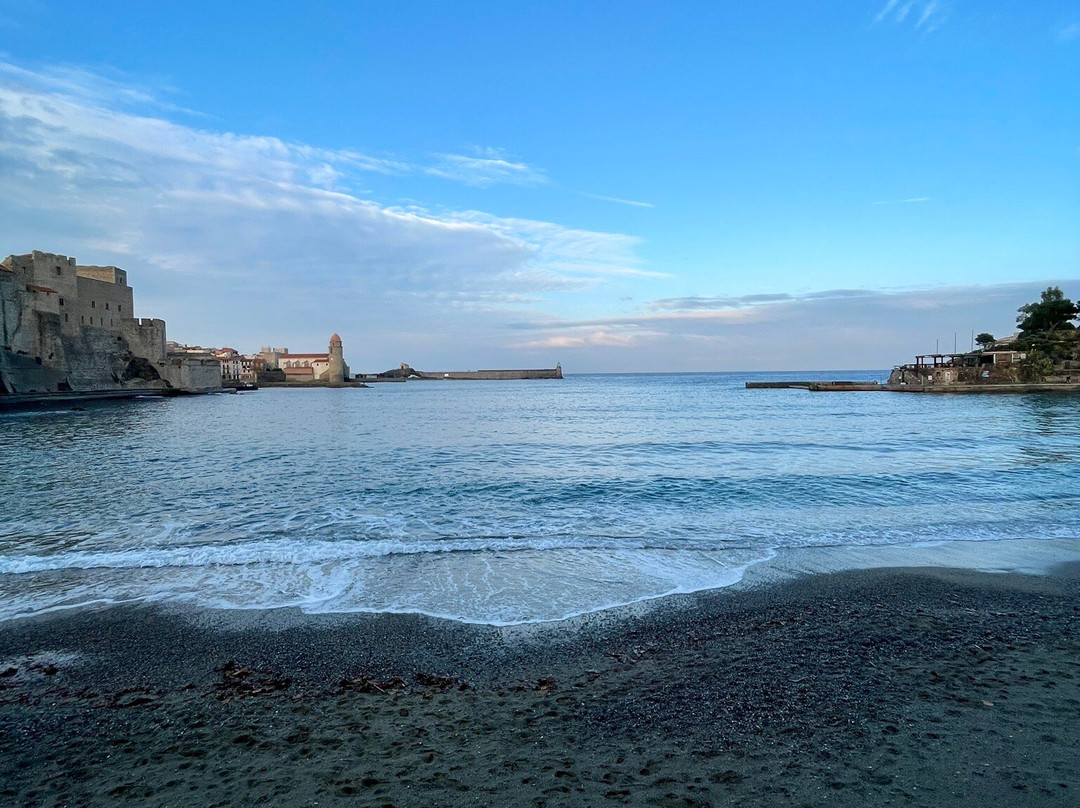 Plage de Collioure景点图片