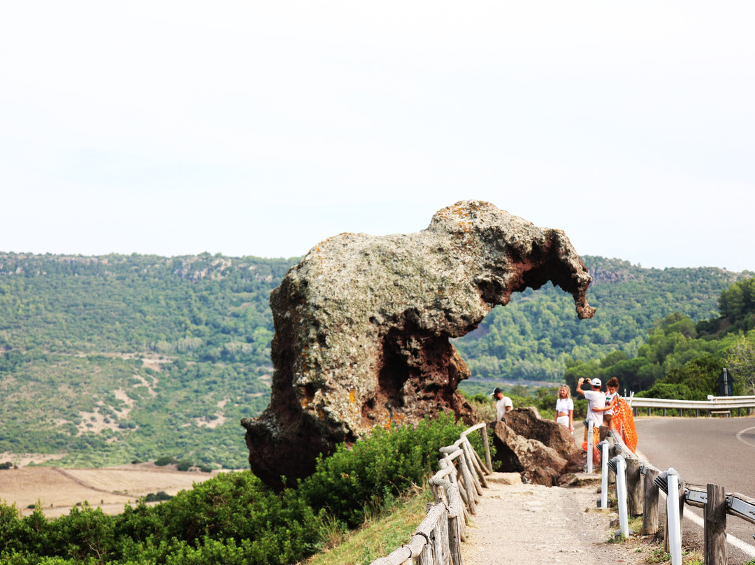 Roccia dell'Elefante-Castelsardo必去景点