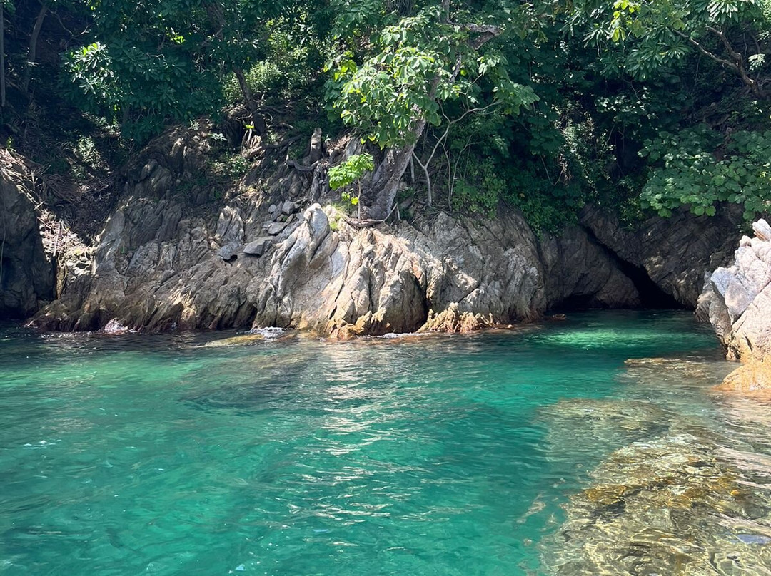 Velez Brothers Fishing景点图片