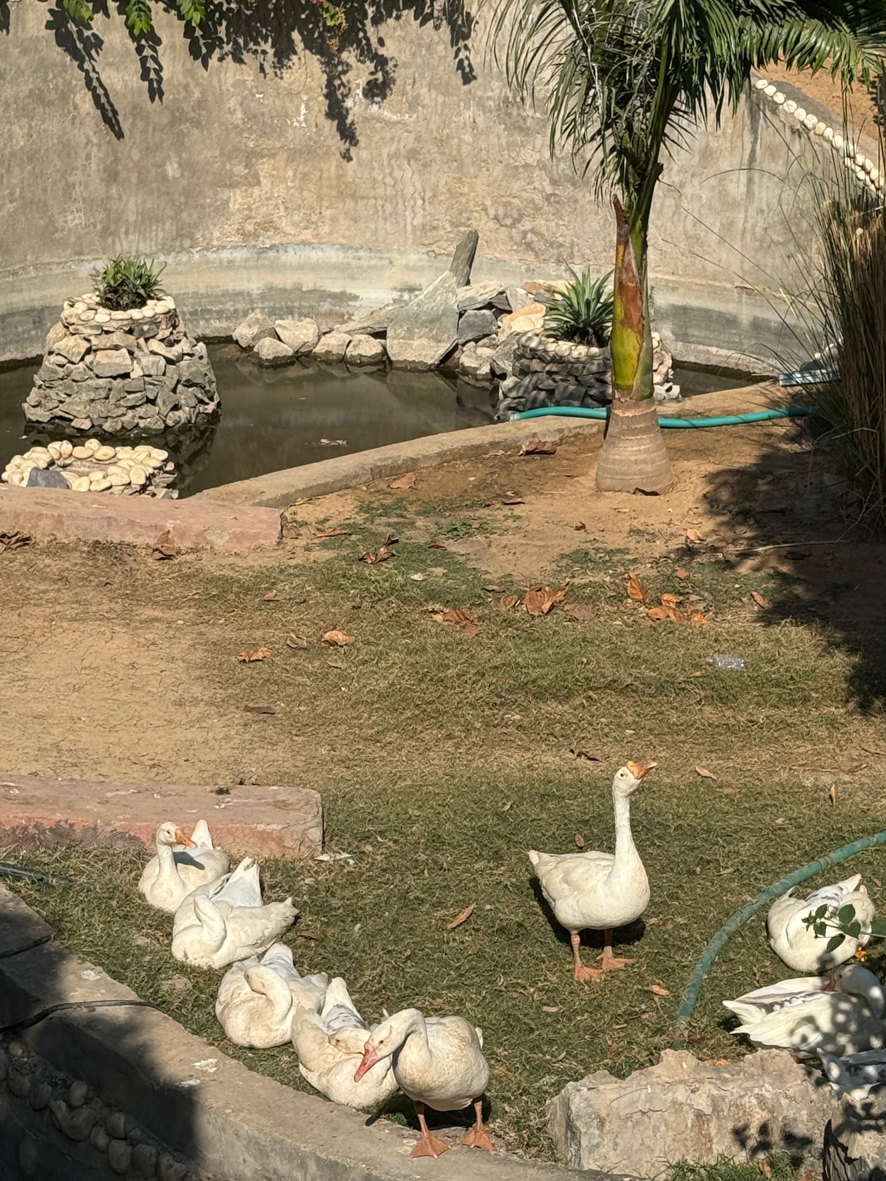 黄金宫殿度假酒店-浴室