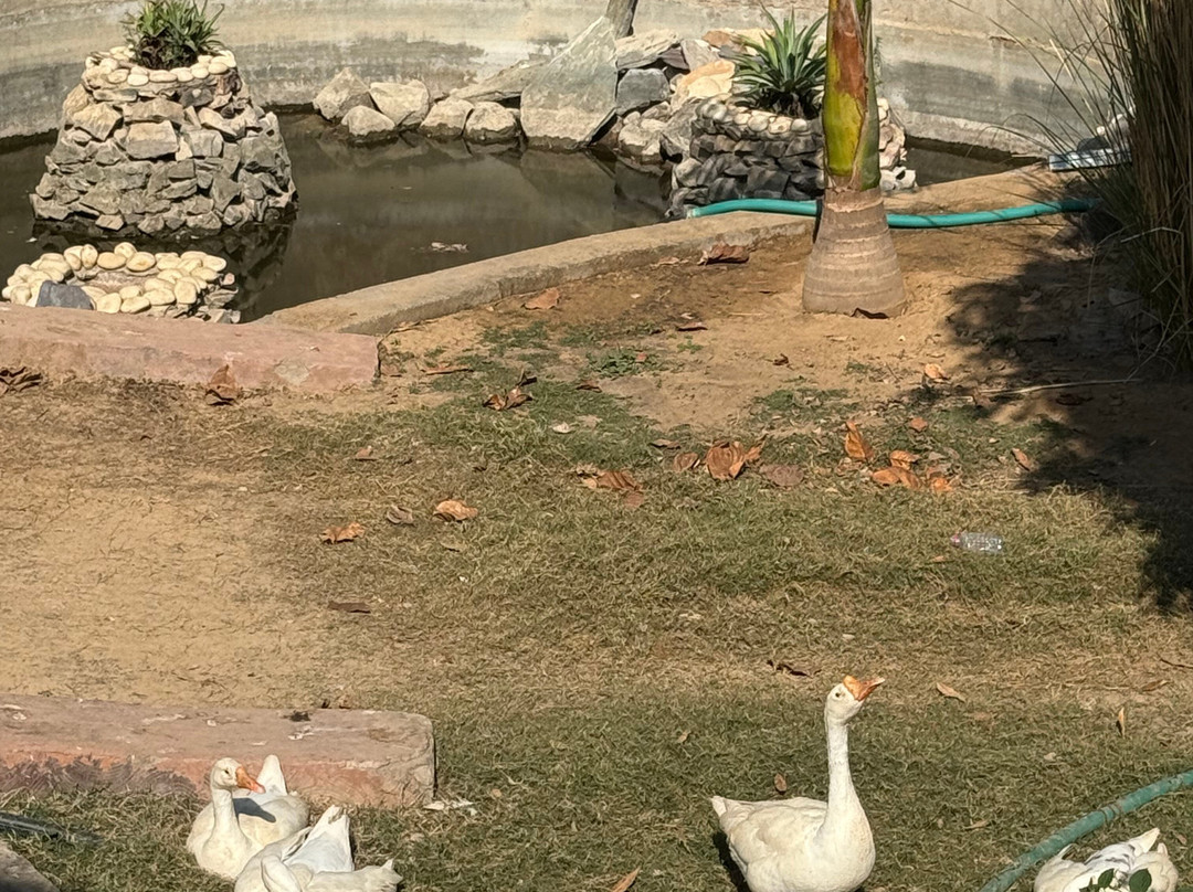 黄金宫殿度假酒店主图