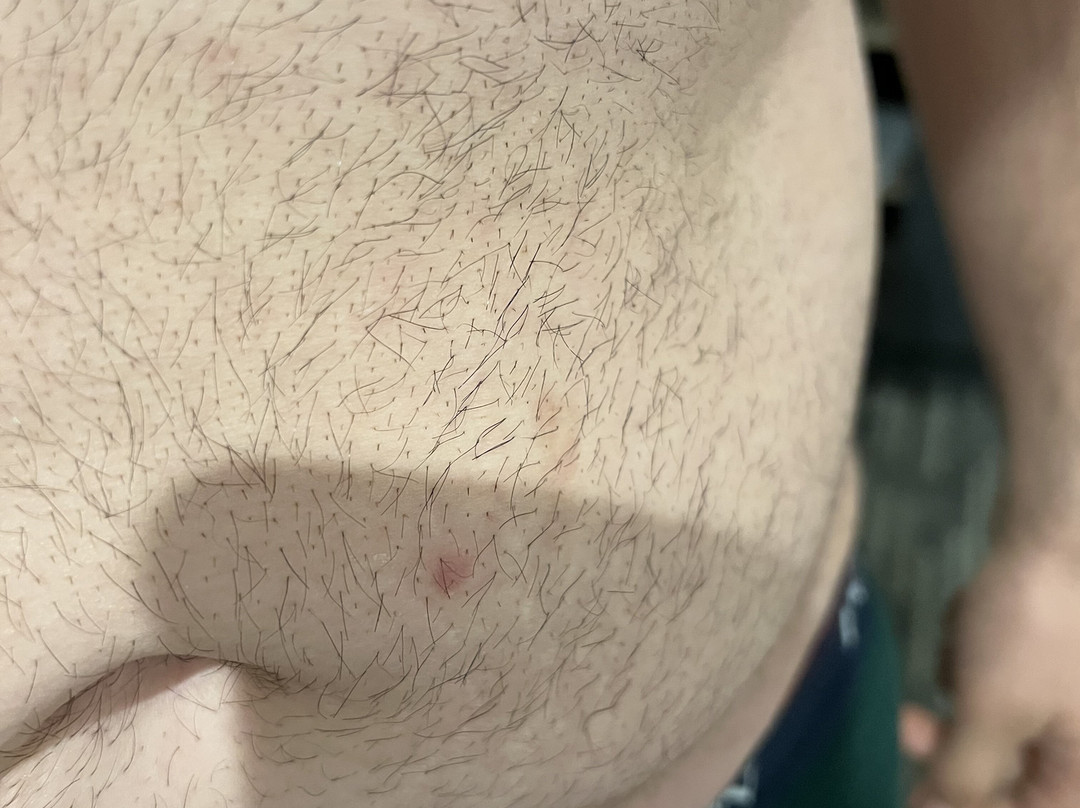 Country Inn & Suites by Radisson, Metairie (New Orleans), LA主图