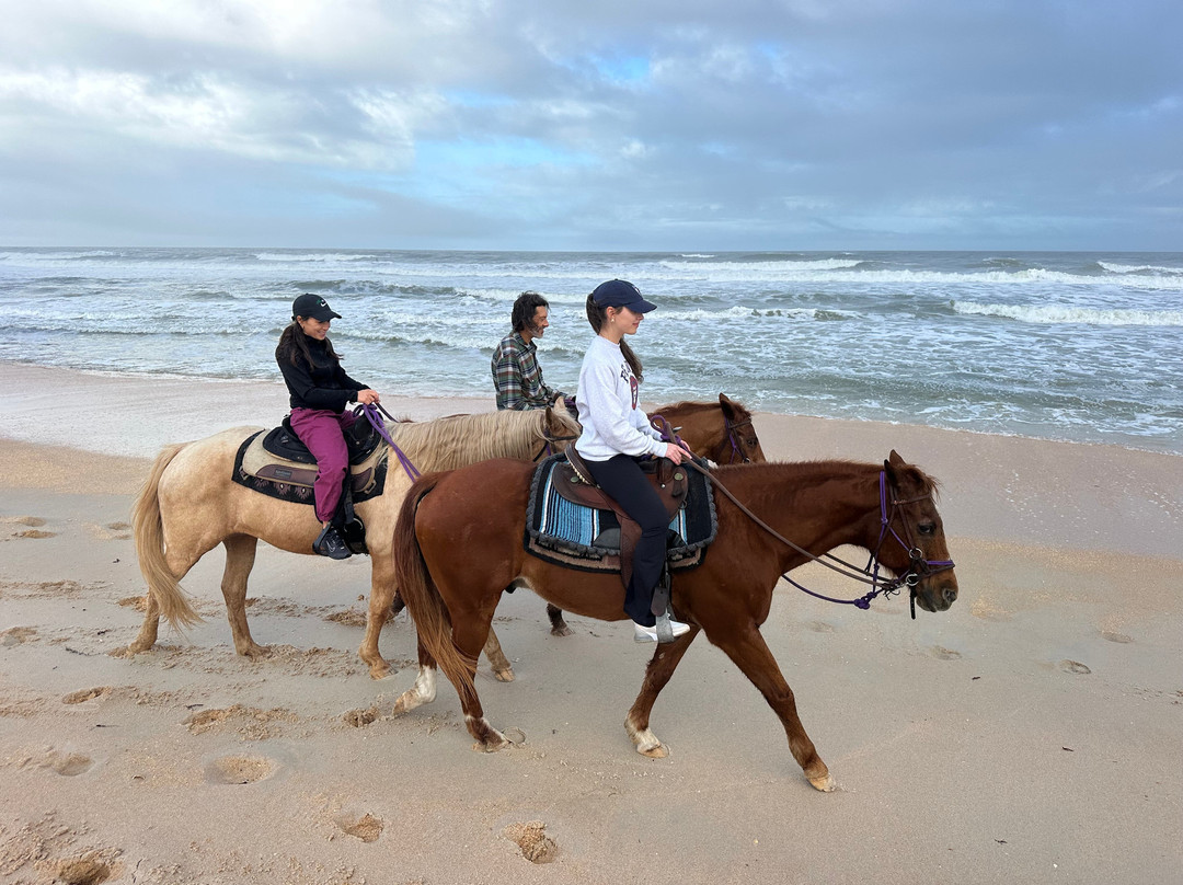 Equestrian Adventures of Florida景点图片