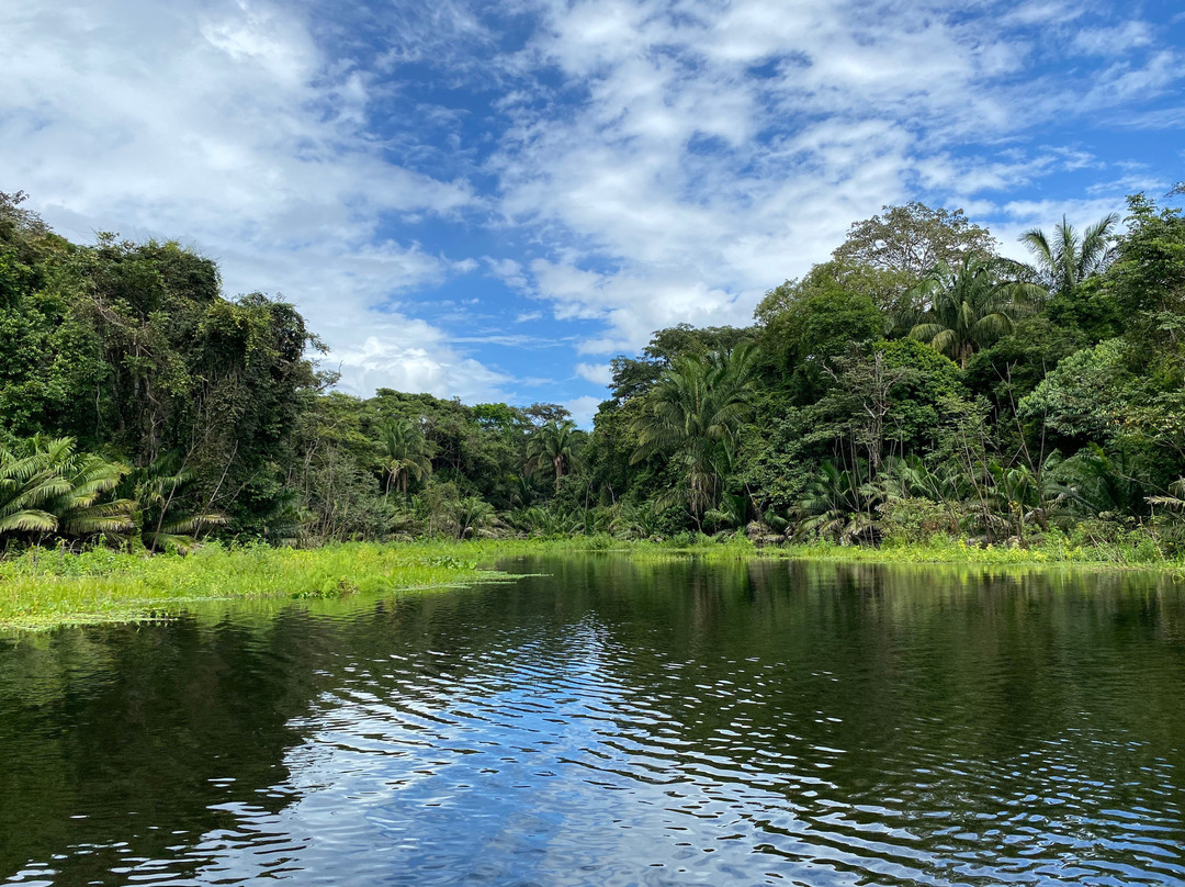 Yala Tours Panama景点图片