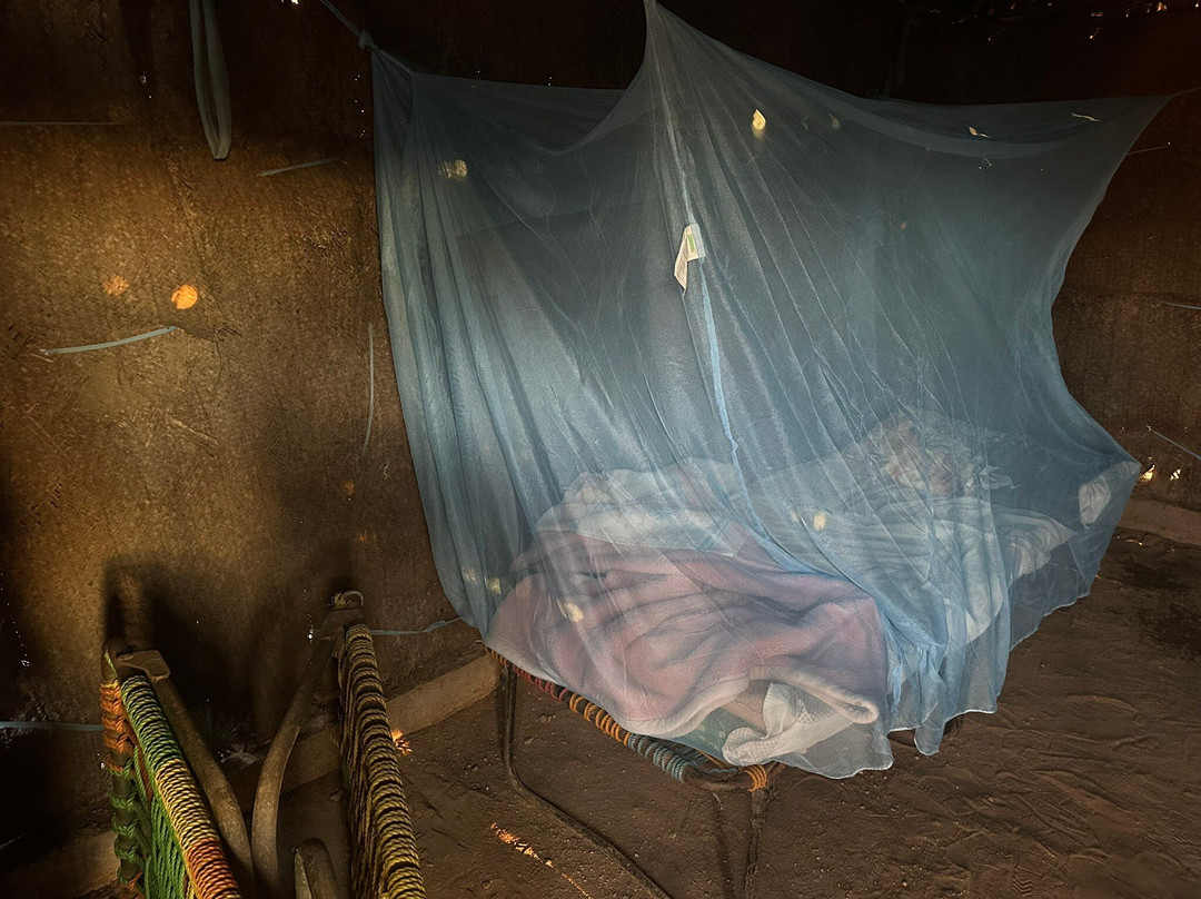 Day Forest National Park-吉布地必去景点