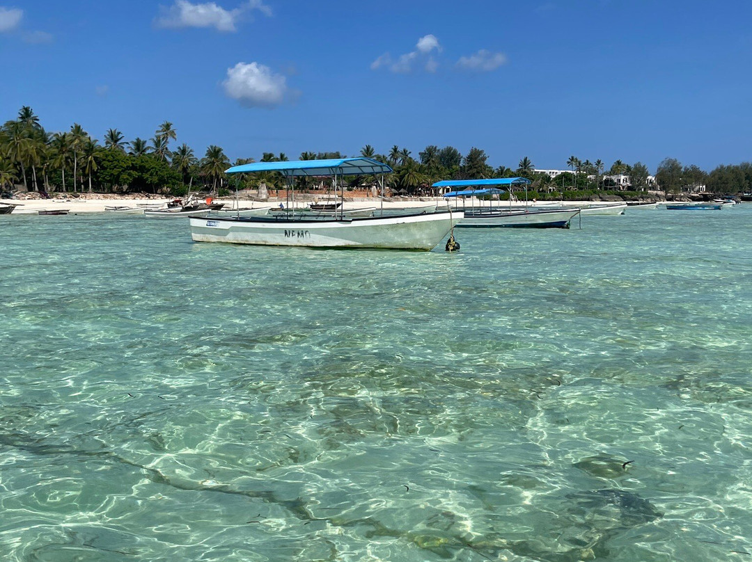 Pirlo Zanzibar Tours & Safaris-石头城必去景点