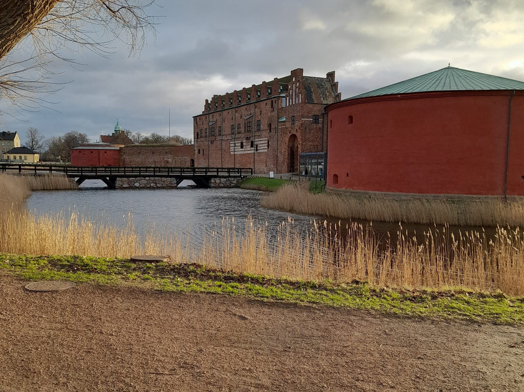 Malmö museum-马尔默必去景点