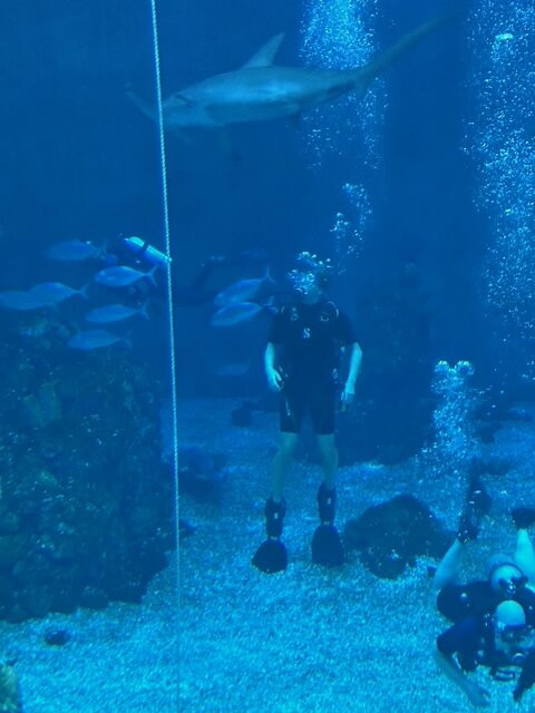 Epcot Divequest-奥兰多必去景点